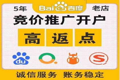 某品牌sem竞价托管代运营的精彩瞬间
